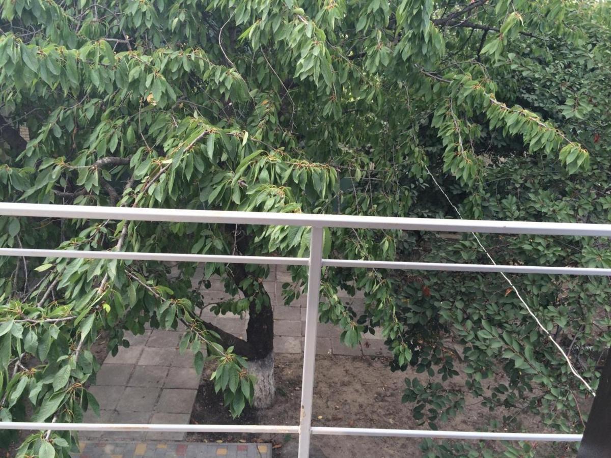 Authentic Odessa Dacha Villa Luaran gambar