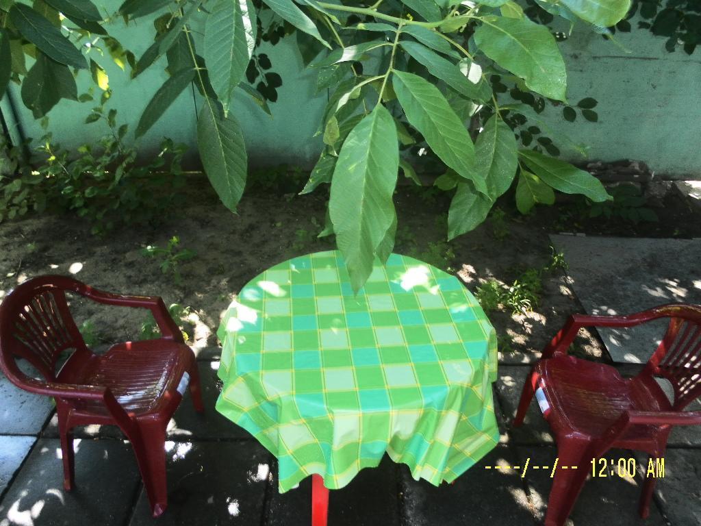 Authentic Odessa Dacha Villa Luaran gambar